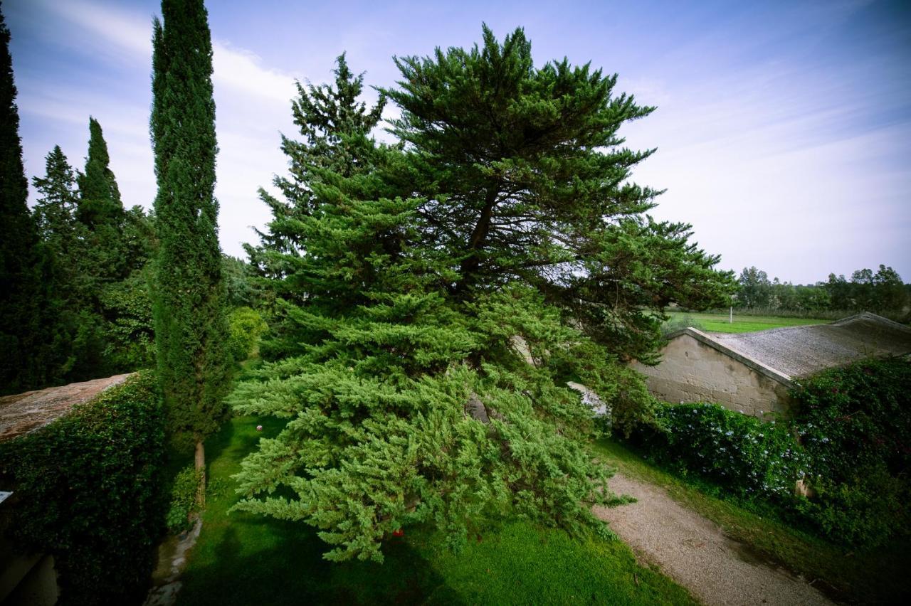 Masseria Perronello Country House Castellaneta Marina Bagian luar foto
