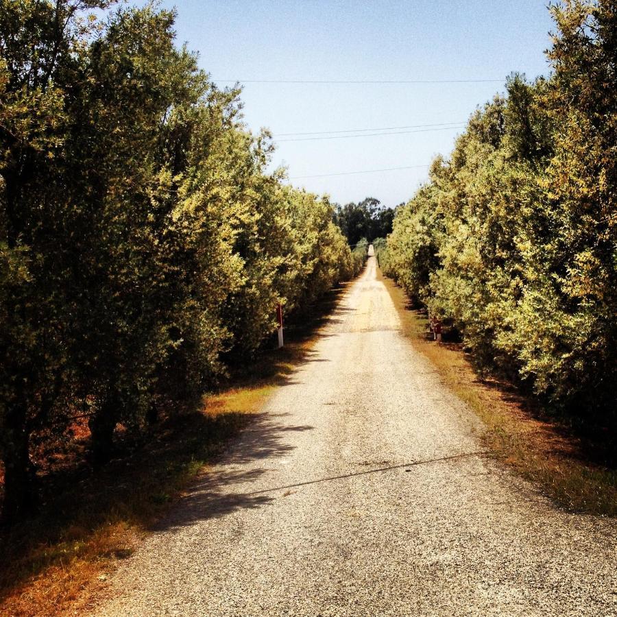 Masseria Perronello Country House Castellaneta Marina Bagian luar foto
